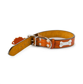 Dog Harness