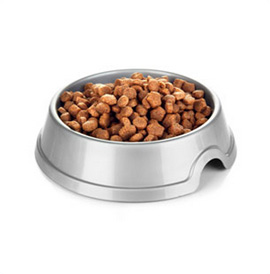 Dog Food