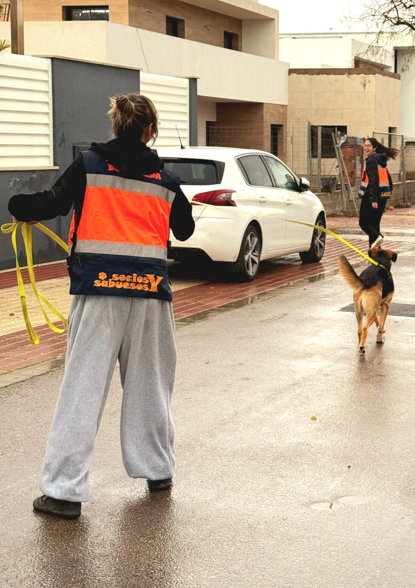Entreno de Mantrailing en Castellón
