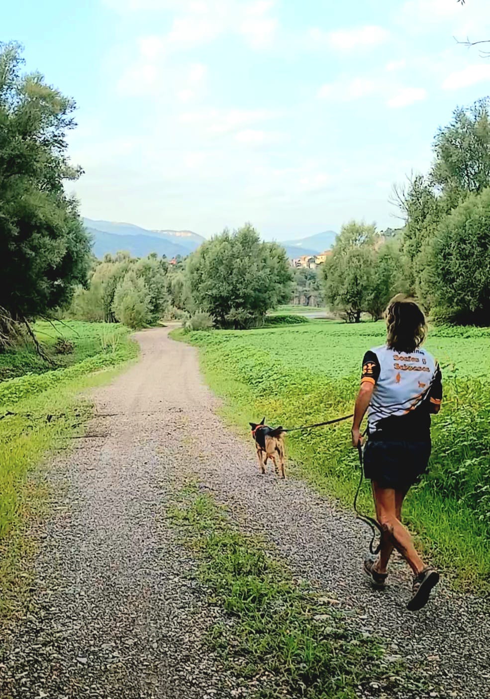 Entrenamiento de mantrailing en Castellón y provincia