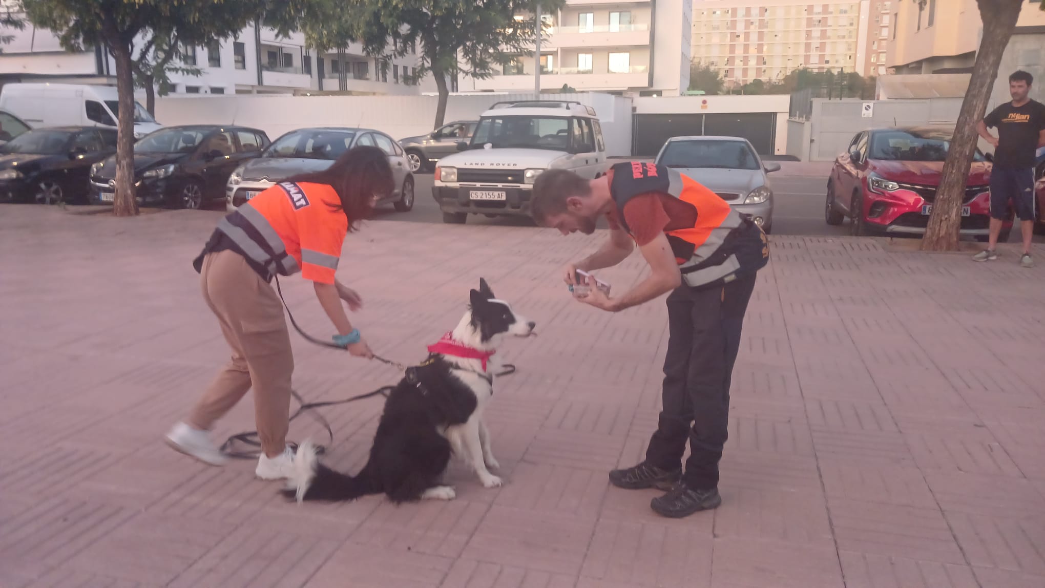 Grupo reducido entrenando mantrailing