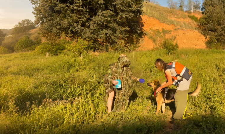 El olfato es su forma de entender el mundoAPRENDEMOS A LEERLO CON ELLOS